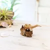 商品画像 4 のサムネイル