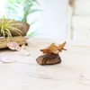 商品画像 3 のサムネイル