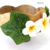商品画像 5 のサムネイル