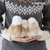 商品画像 8 のサムネイル