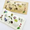 Thumbnail of product image 2