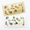 Thumbnail of product image 1