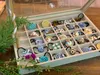 商品画像 9 のサムネイル