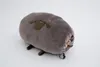 商品画像 2 のサムネイル