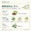 商品画像 3 のサムネイル