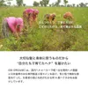 商品画像 8 のサムネイル