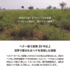 商品画像 6 のサムネイル