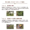 商品画像 9 のサムネイル