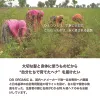 商品画像 6 のサムネイル