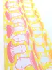 商品画像 7 のサムネイル