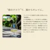 商品画像 4 のサムネイル