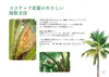 商品画像 3 のサムネイル