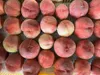 Thumbnail of product image 8