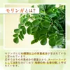 商品圖片 5 縮圖