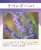 商品画像 5 のサムネイル