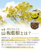 商品圖片 3 縮圖