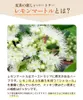 商品圖片 6 縮圖