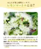 商品圖片 6 縮圖