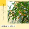 商品画像 3 のサムネイル