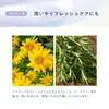 商品画像 3 のサムネイル