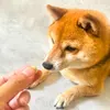 商品画像 8 のサムネイル