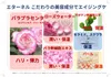商品画像 2 のサムネイル