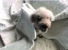 商品画像 8 のサムネイル