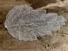 商品画像 2 のサムネイル