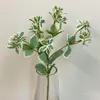 商品画像 5 のサムネイル