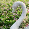 商品画像 5 のサムネイル
