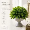 商品画像 1 のサムネイル