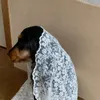 商品画像 5 のサムネイル