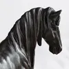 商品画像 5 のサムネイル