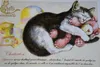 商品画像 1 のサムネイル