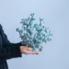 商品画像 5 のサムネイル