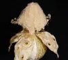 商品画像 6 のサムネイル