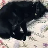 商品画像 4 のサムネイル