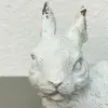 商品画像 10 のサムネイル