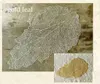 商品画像 3 のサムネイル
