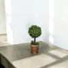 商品画像 5 のサムネイル