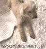商品画像 3 のサムネイル