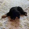 商品画像 5 のサムネイル