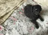 商品画像 4 のサムネイル