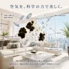 Thumbnail of product image 3
