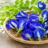 商品画像 7 のサムネイル