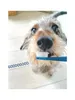 商品画像 4 のサムネイル