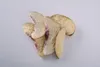 Thumbnail of product image 2