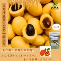 カカオ豆チョコレートボールホワイトガックフルーツ - 仕入れ