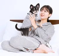 犬服キミト(イヌフクキミト) - 仕入れ、卸ならグッズ