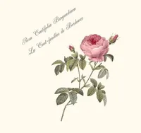 バラのヨガマット